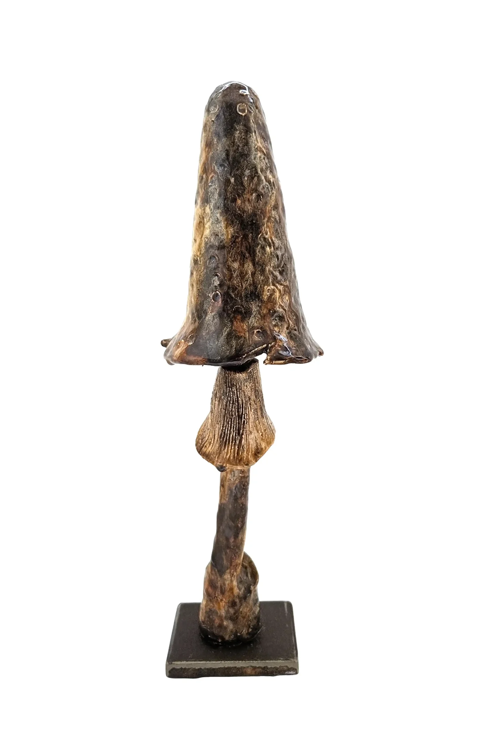 cheiropoiito-keramiko-glypto-dark-mushroom-se-metalliki-vasi-1